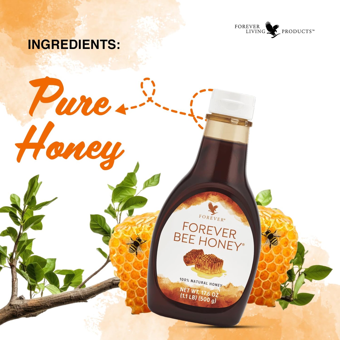Forever Living - Bee Honey - Responsibly Harvested Mountain Honey with Rich, Smooth and Complex Flavor - Gluten-Free - 17.6 Oz