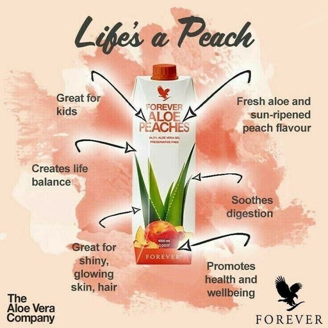 Forever Aloe Peaches Mini Juice Gel Kosher Halal All Natural 330Ml X 12 Pack