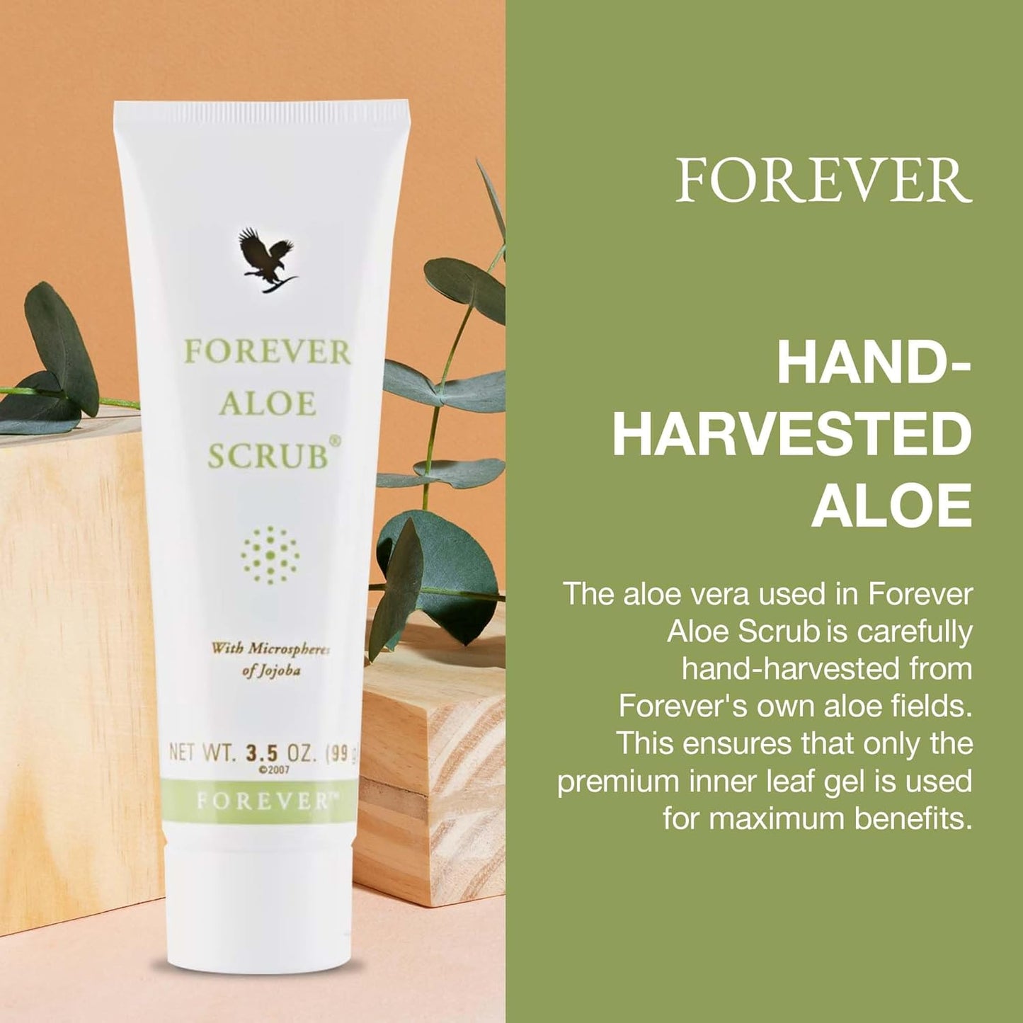 zz 022 A Forever Living - Forever Aloe Scrub® - Gentle Exfoliation with Jojoba Microspheres - Vegan-Friendly Body Scrub - Aloe Vera Gel Conditioning - 3.5 Oz