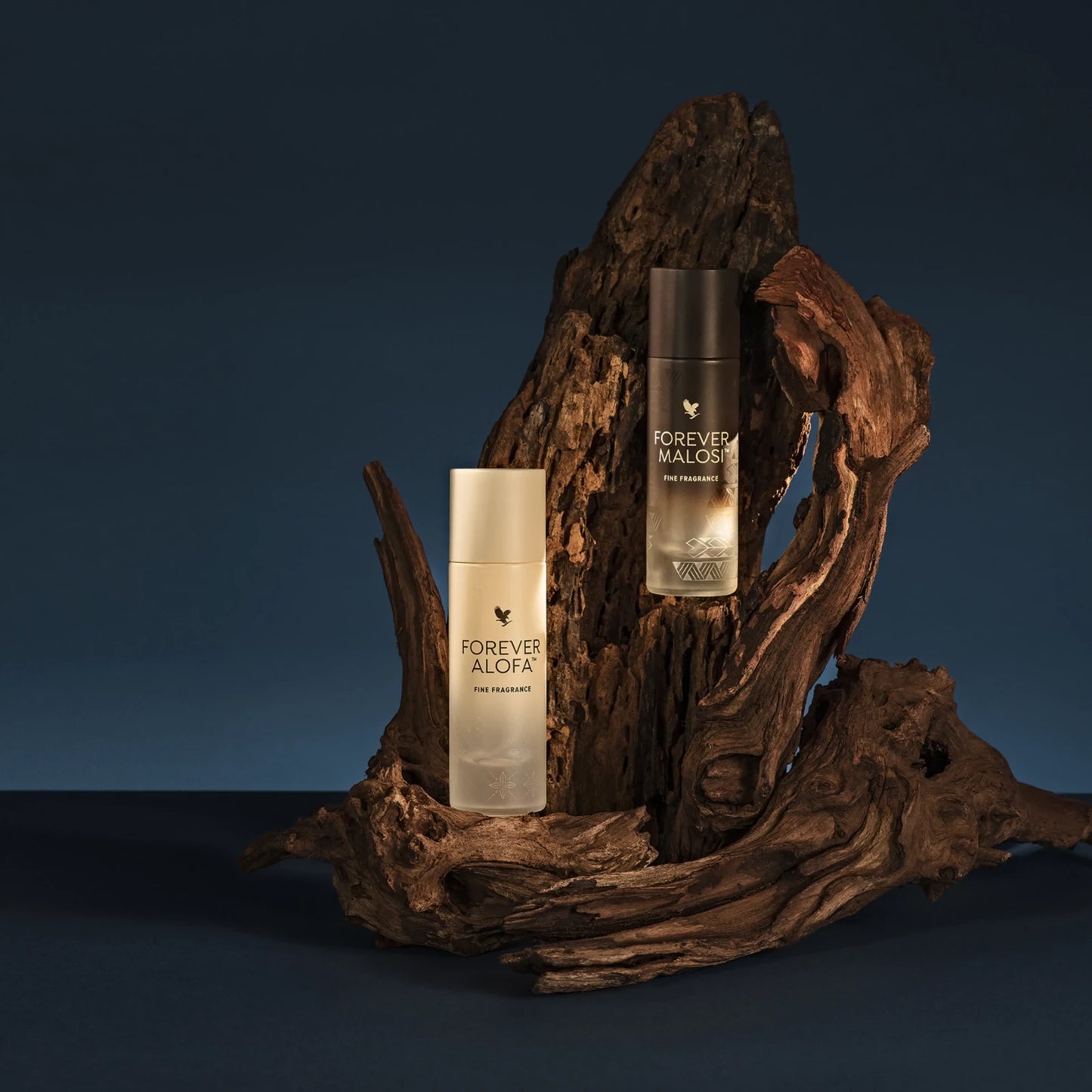 Forever Malosi Fine Fragrance: Unleash Power & Confidence with a Woodsy Scent – The Ultimate Self-Care Gift for the Modern Man