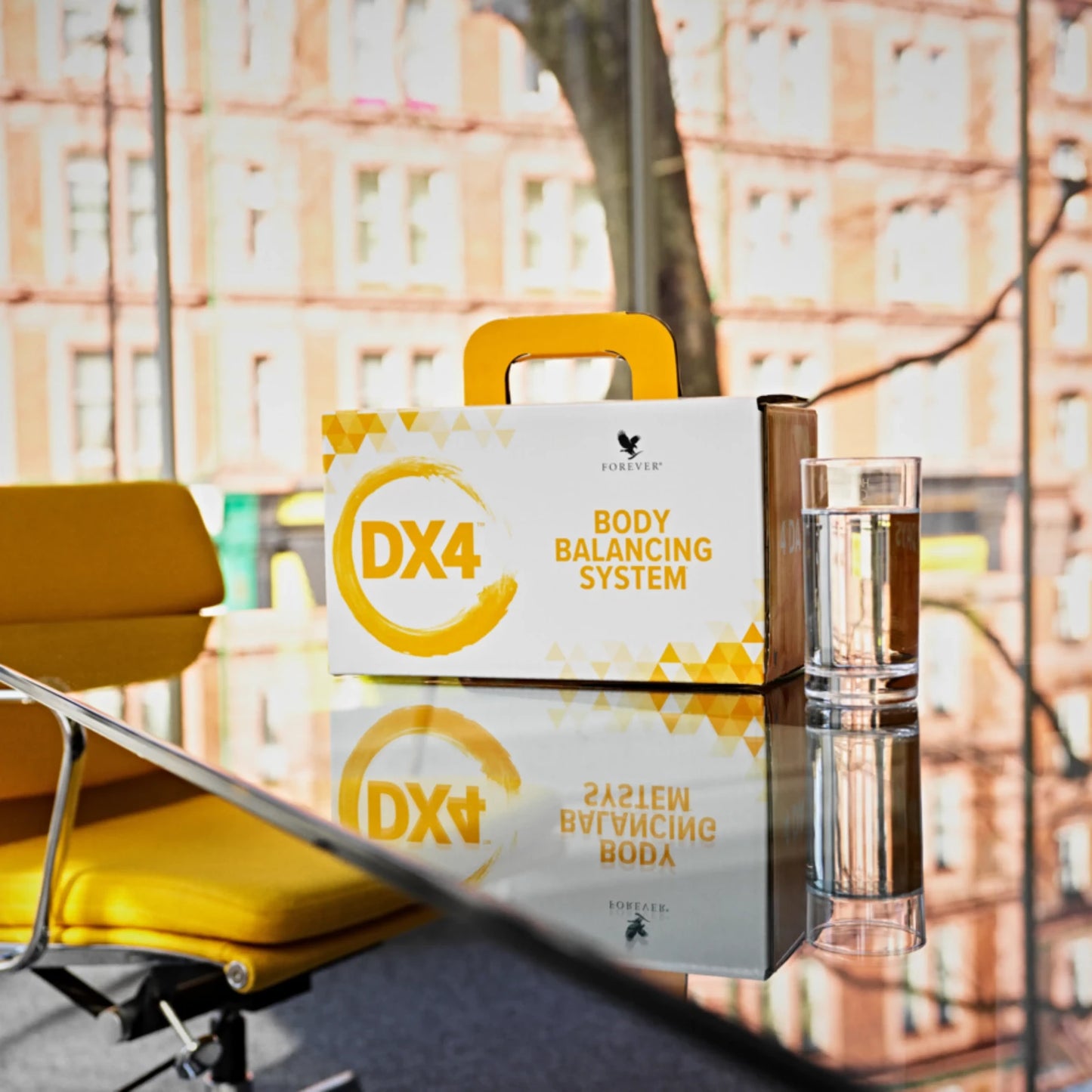 DX4 Body Balancing System: 4-Day Reset, Detox & Energy Boost Program – Ignite Your Inner Vitality & Embrace Essential Self-Care
